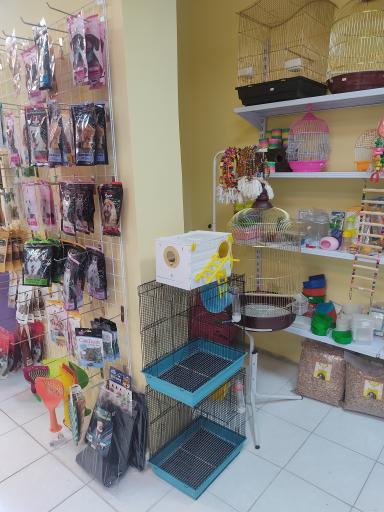 عکس پت شاپ اکوپت