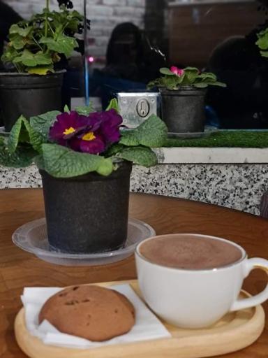 عکس کافه پاپوک 