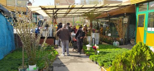 عکس بازار میوه و تره بار هروی