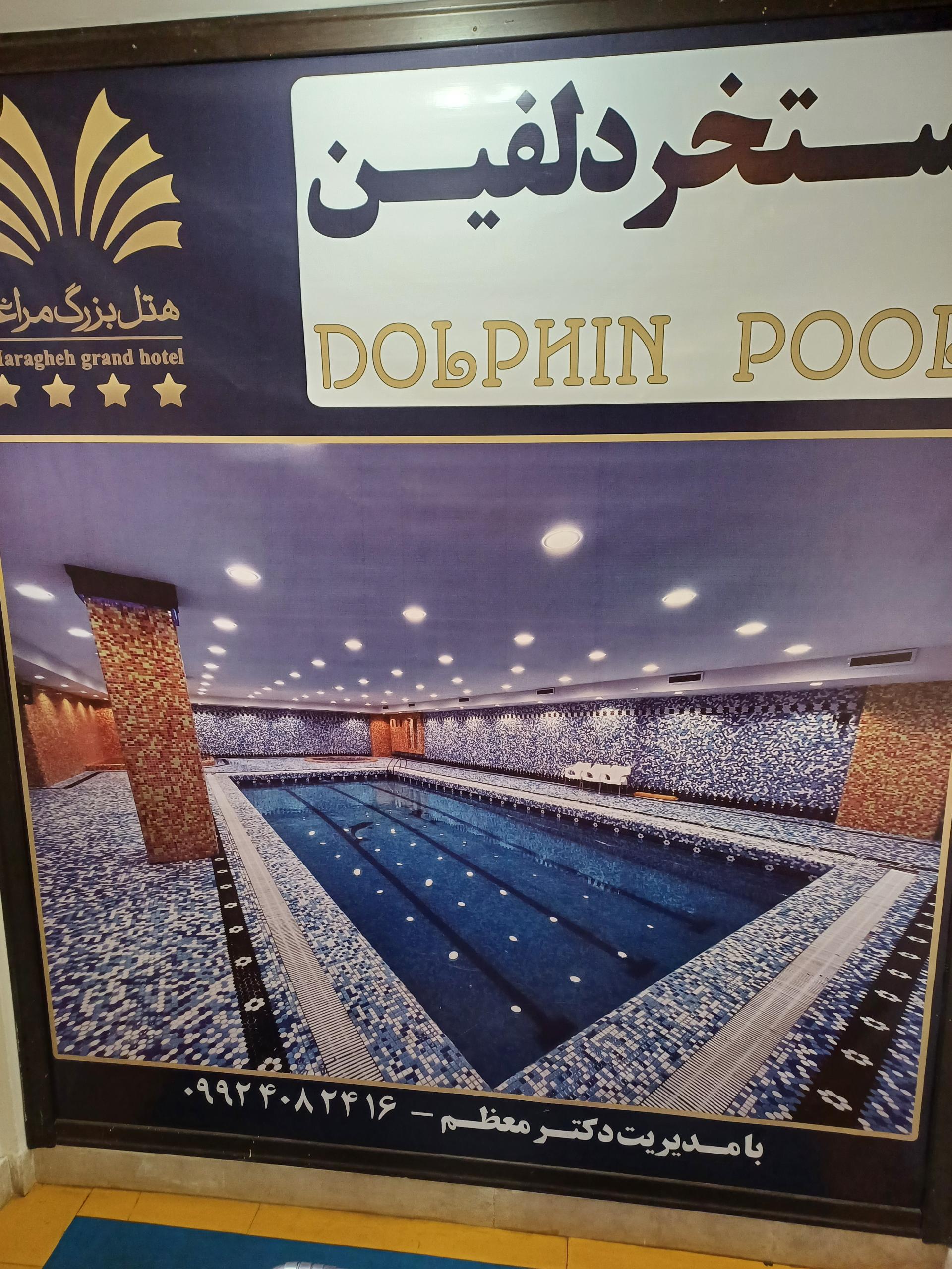 عکس استخر دلفین هتل مراغه