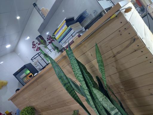 عکس کافه جاودانه