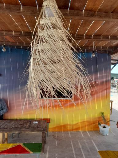 عکس کافی شاپ الوها