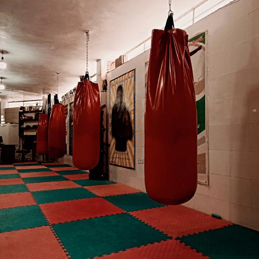 عکس باشگاه ورزشی رزمیکاران آرشا 