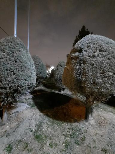 عکس بوستان جهاد