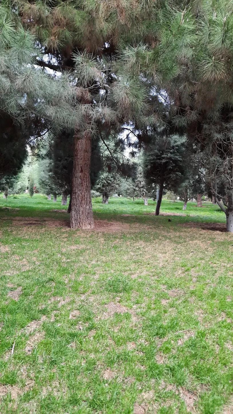 عکس بوستان جهاد