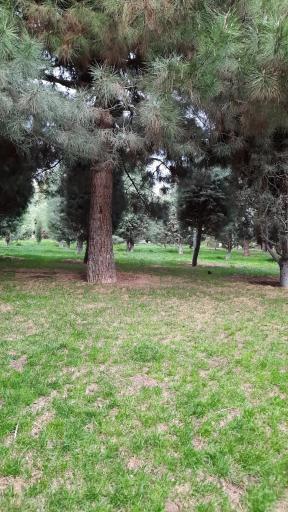 عکس بوستان جهاد