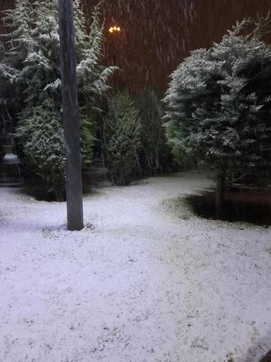 عکس بوستان جهاد