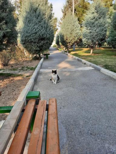 عکس بوستان جهاد