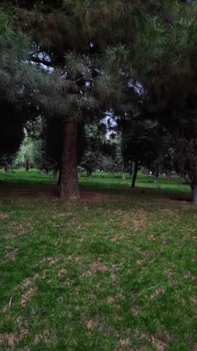 عکس بوستان جهاد