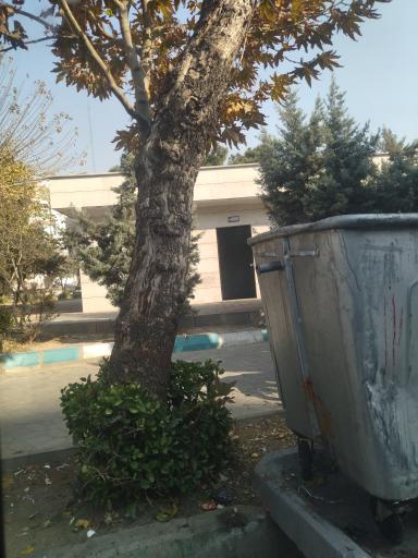 عکس سرویس بهداشتی