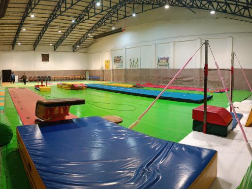 عکس آکادمی ژیمناستیک آریان
