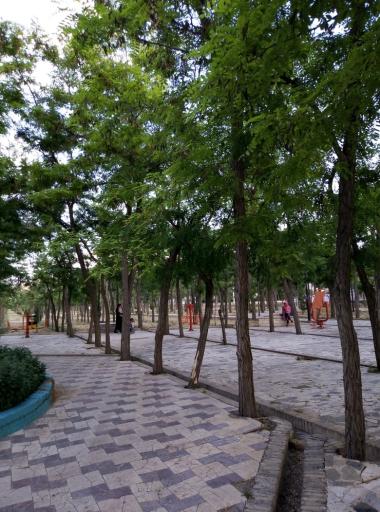 عکس پارک شقایق