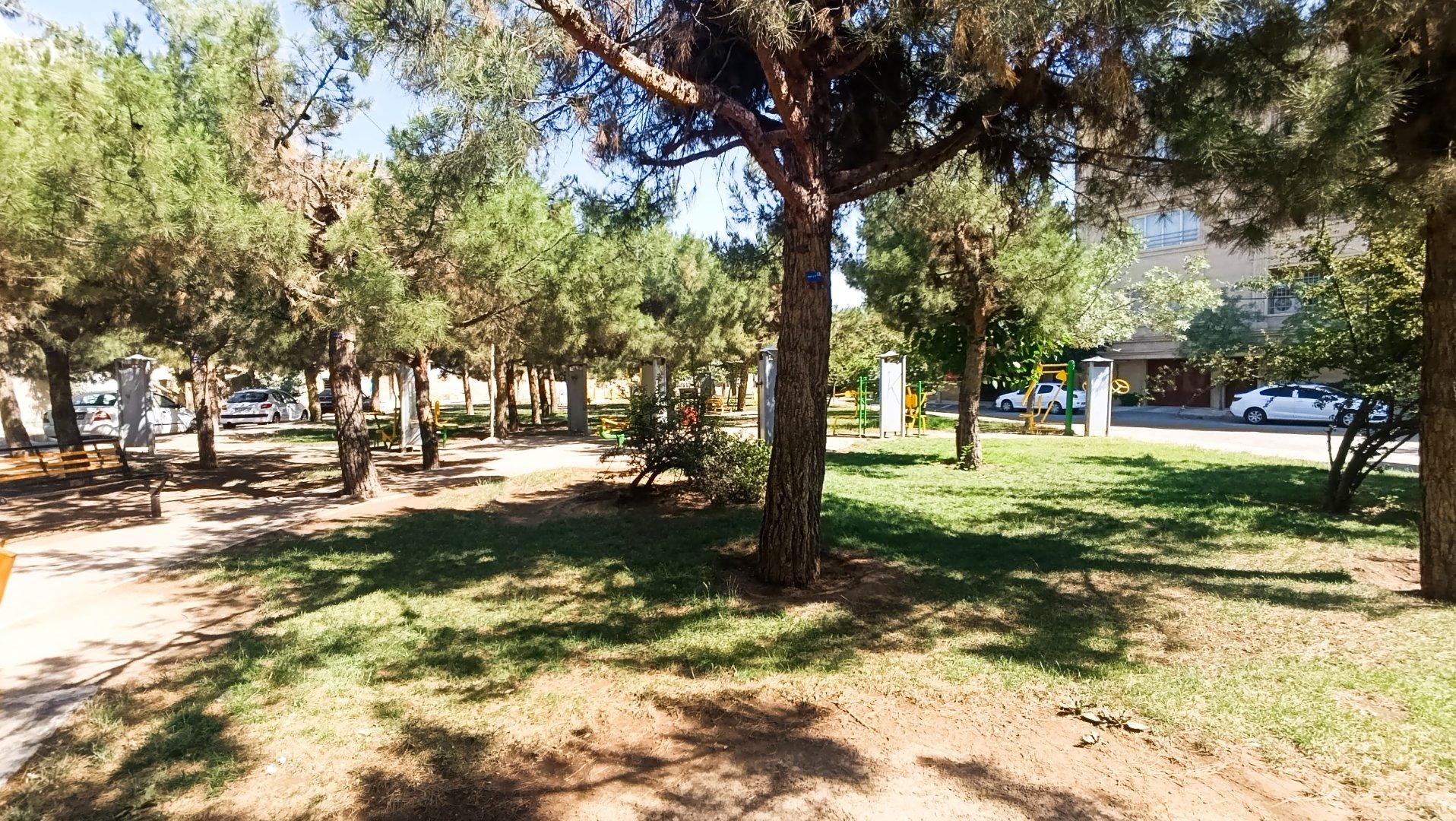 عکس پارک
