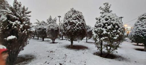 عکس بوستان جهاد