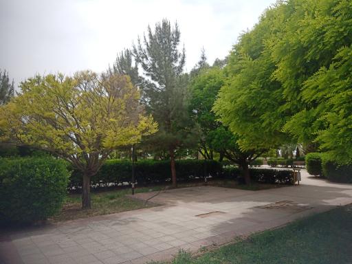 عکس بوستان سوره