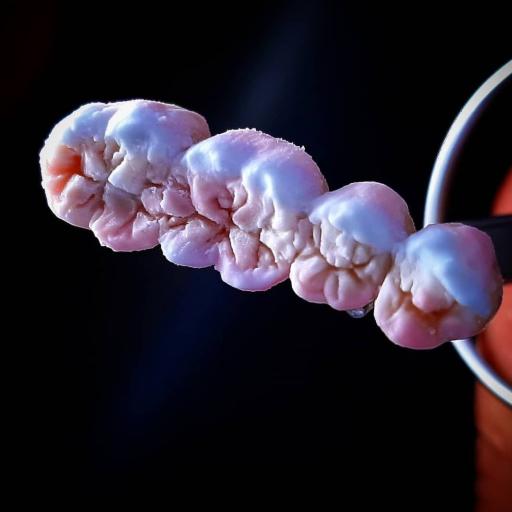 عکس لابراتوار تخصصی پروتزهای دندانی احسان فعلی