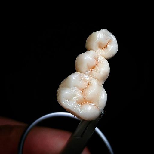 عکس لابراتوار تخصصی پروتزهای دندانی احسان فعلی