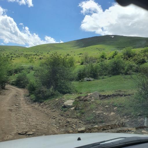 عکس جنگل مازیچال