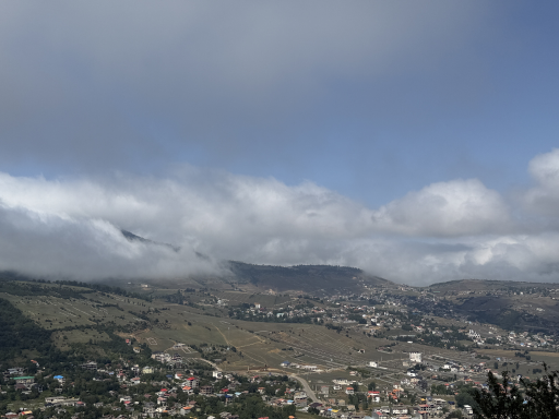عکس جنگل مازیچال