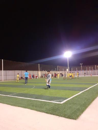 عکس زمین چمن مصنوعی