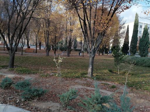 عکس بوستان نمازی