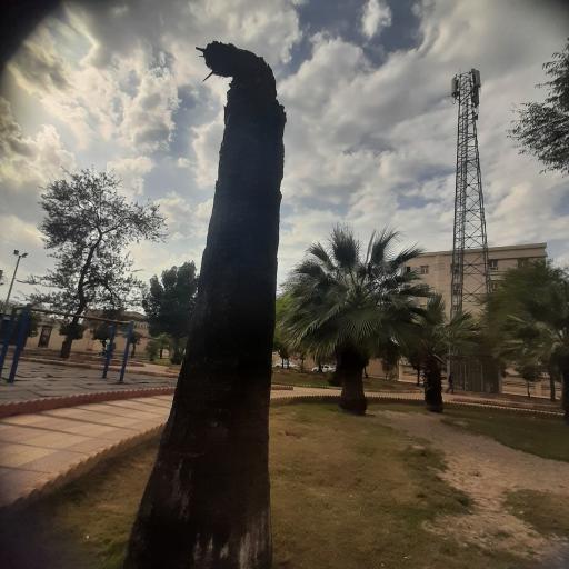 عکس پارک مینا