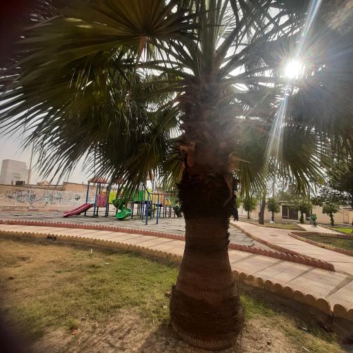 عکس پارک مینا