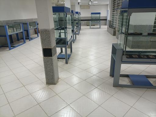 عکس موزه مرکزی استان ایلام (دره شهر)