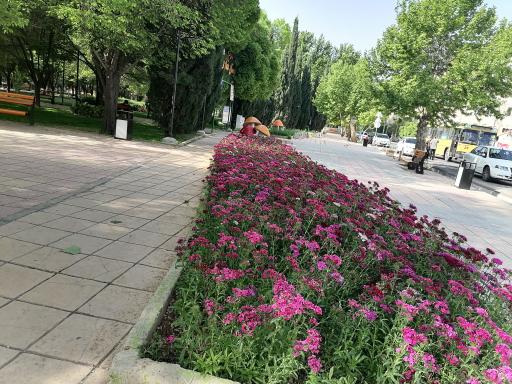 عکس بوستان نمازی