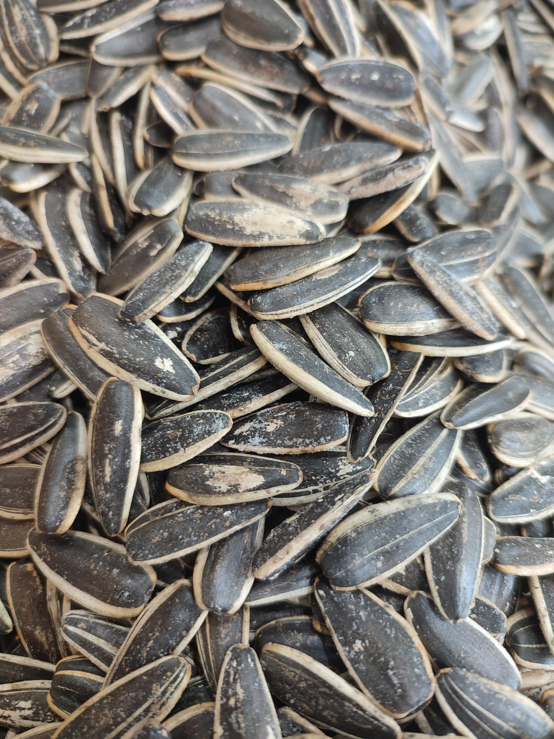 عکس خشکبار کردستان 