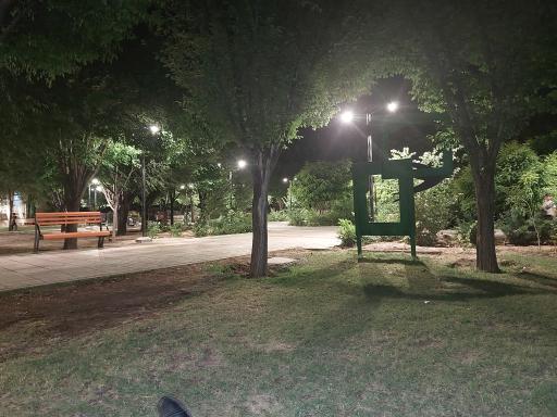 عکس بوستان نمازی