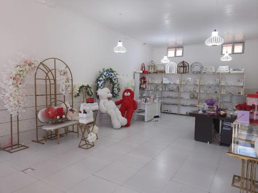 عکس تشریفات آنیل 