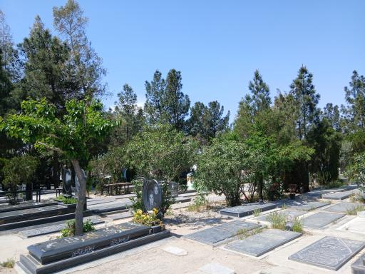 قبرستان دارالسلام