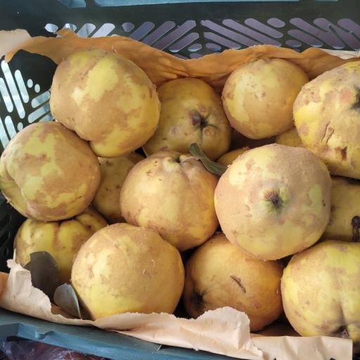 عکس میوه فروشی