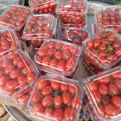 عکس میوه فروشی