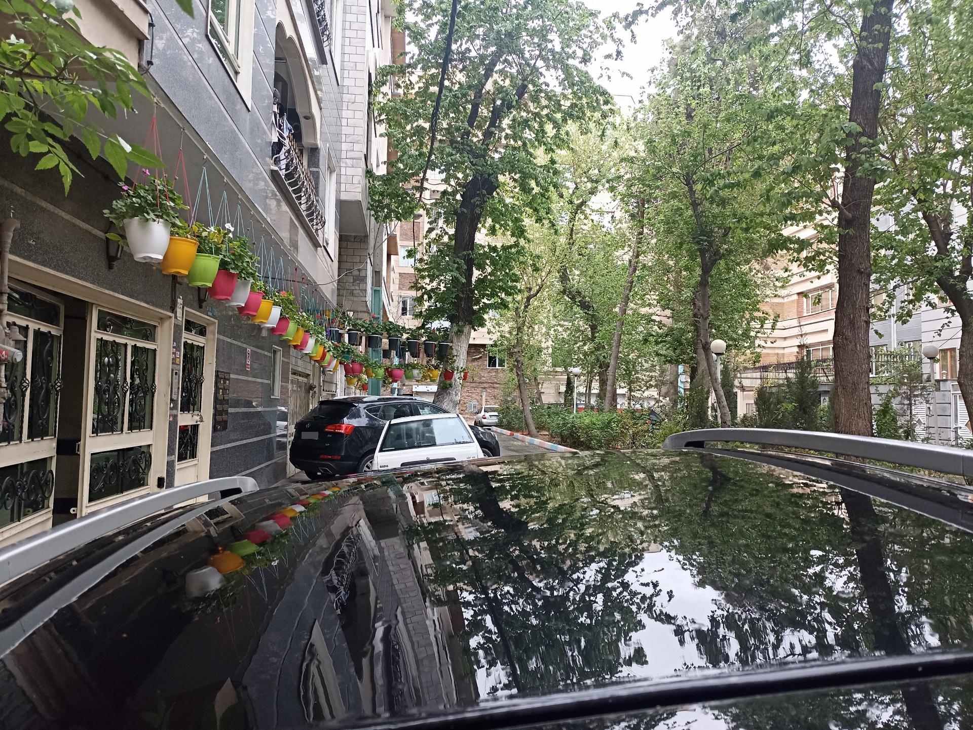 عکس میدان لاله
