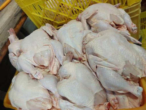 مرغ و گوشت بابک بخشی