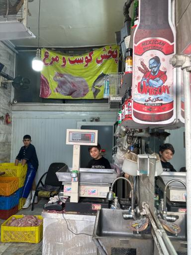 عکس مرغ و گوشت بابک بخشی