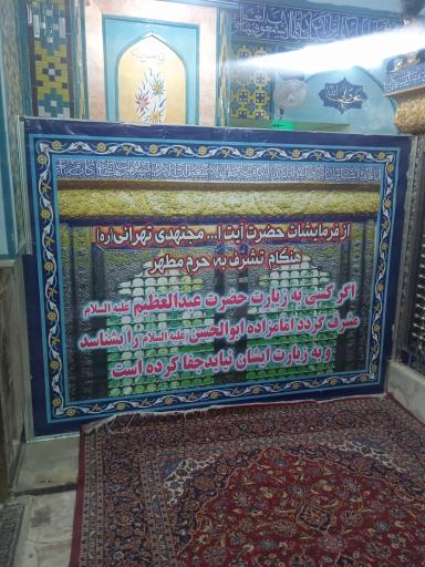 عکس آستان مقدس امامزاده ابوالحسن (ع)