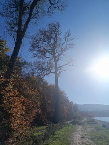 عکس دریاچه الندان