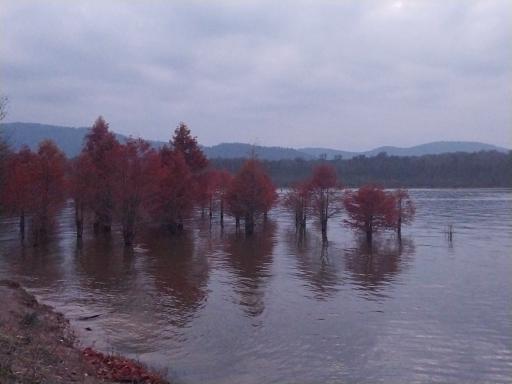 عکس دریاچه الندان