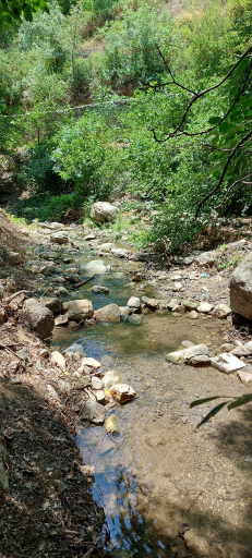 عکس رودخانه