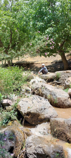 عکس رودخانه