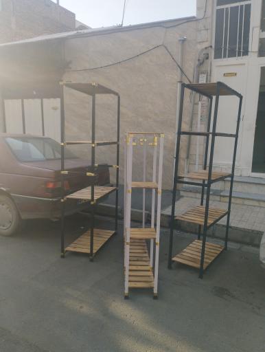 عکس قفسه رگال حمید