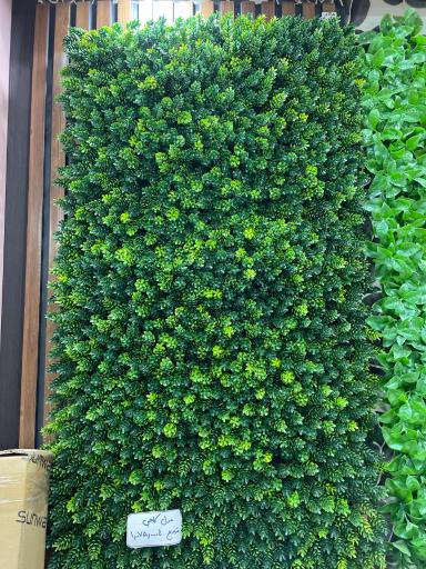 عکس سان دکور