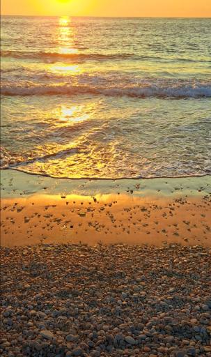 عکس دهکده گردشگری دریایی پازارلند