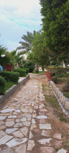 عکس دهکده گردشگری دریایی پازارلند