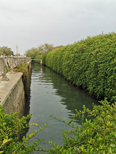 عکس پارک صدف