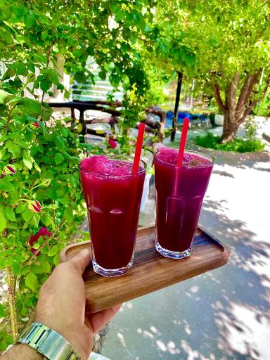 عکس باغ رستوران سنتی آبشار