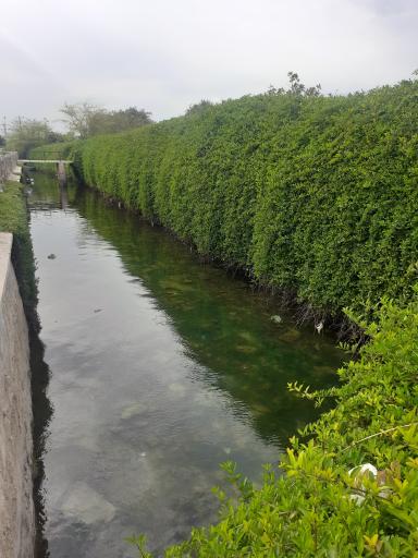 عکس پارک صدف